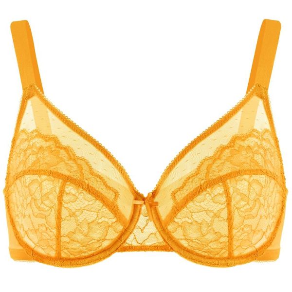 HSIA Enchante Floral Lace Unlined Comfort Non-padded Full Coverage Plus Size Underwire Bra - Image 7